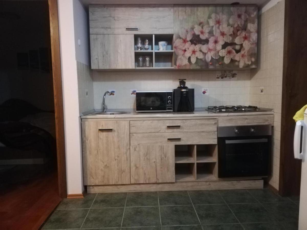 Andra Apartment Sinaia Eksteriør bilde